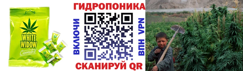 Cannafood конопля  Лысьва 