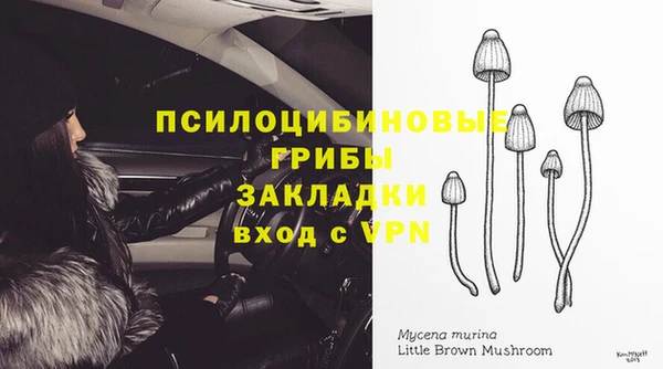 амф Абаза