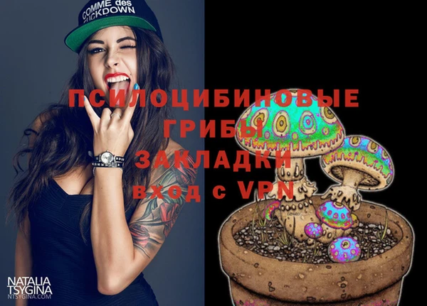 амф Абаза