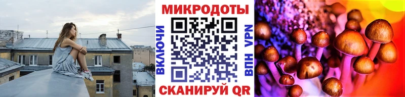 где продают   Лысьва  Галлюциногенные грибы Cubensis 